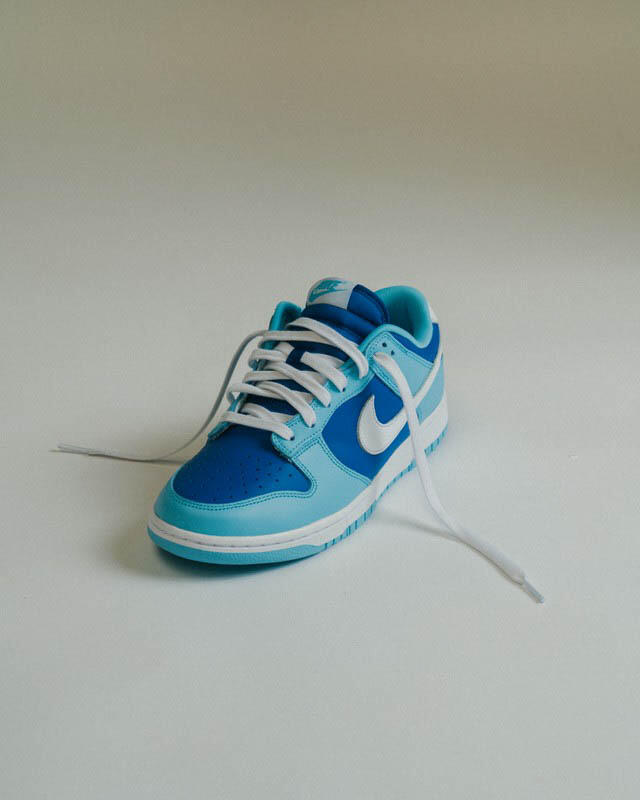 Nike Dunk Low Retro QS \Argon\ 27.5cm Nike Dunk Low Retro QS